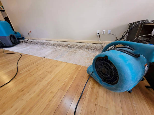 Professional Water Damage Repair technician working in Braidwood, IL